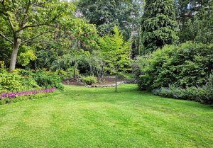 Optimiser l'expérience du jardin à Heuzecourt